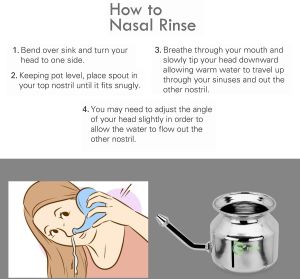 RCSP Stainless Steel Silver Neti Pot