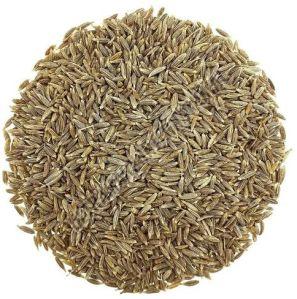 Cumin Seeds