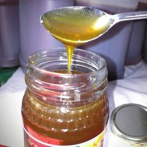 Natural Wild Honey