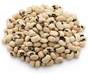 Cow Pea