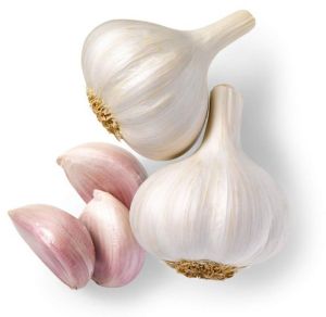 Fresh Garlic