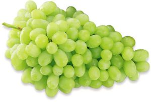 Fresh Green Grapes