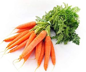 Fresh Orange Carrot