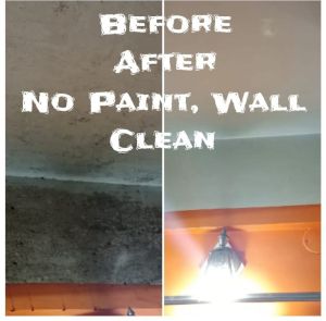 Wall Wet Cleaning Services