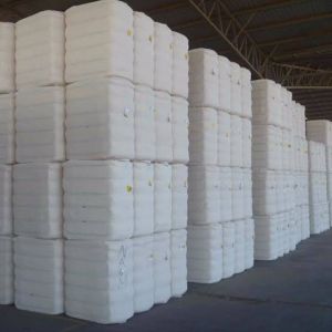 Raw Cotton Bale