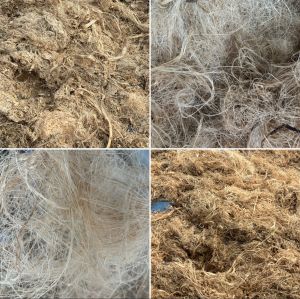 Banana Fiber Pulp for Paper Products
