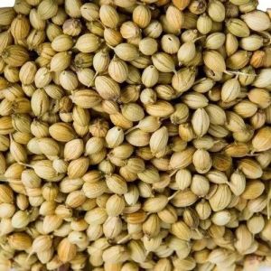 dry coriander seeds