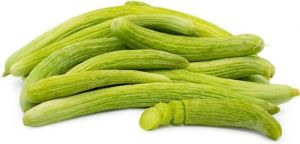 Fresh Armenian Cucumber Kakdi