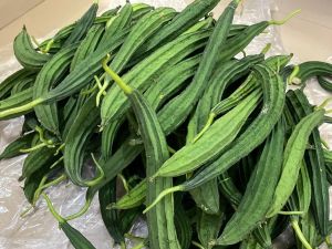 Fresh Ridge Gourd