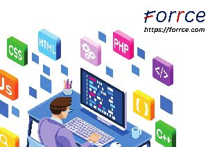 Software Development Service