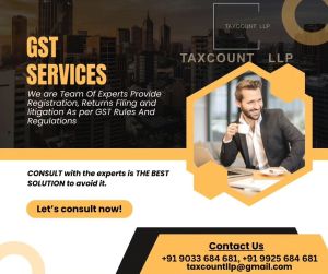 gst consultant