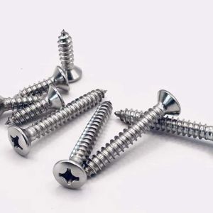 ss countersunk head screw