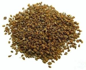 Celery Seeds