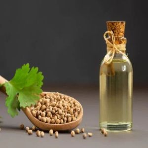 Coriander Oil