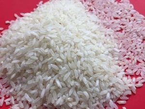 IR 64 Raw Non Basmati Rice