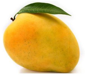 Fresh Mango