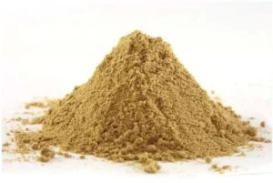 Dry Mango Powder