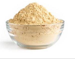 Mushroom Powder