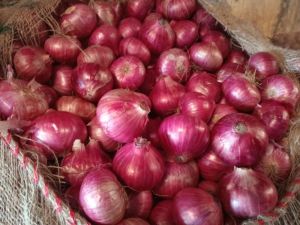 Fresh Red Onion