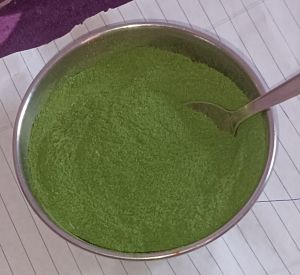 Moringa