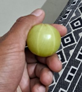 Amla