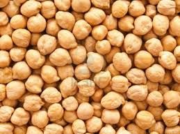 Chickpea