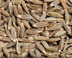 Cumin Seed