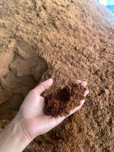 Coir Pith Powder