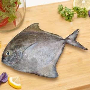 Black Pomfret Fish