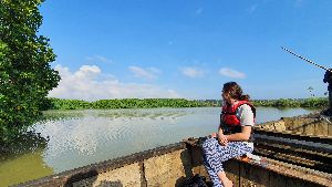 mangrove forest canoeing varkala safari