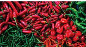 red chilli