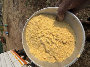 calcite maize flour