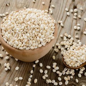 Pearl Barley Seeds