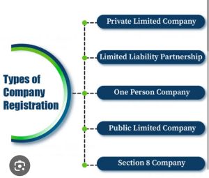 Company Formation Service