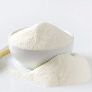 Camel Milk Powder