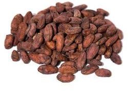 Cocoa Beans