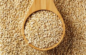 Quinoa Seeds