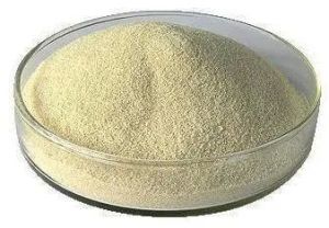 Sodium Alginate Powder