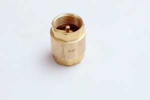 Brass Check Valves