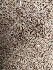 Cumin Seeds