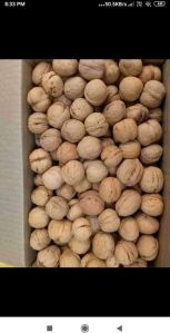 Walnuts