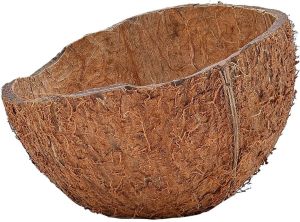 Coconut Shells