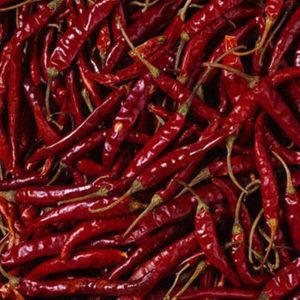 red chilli