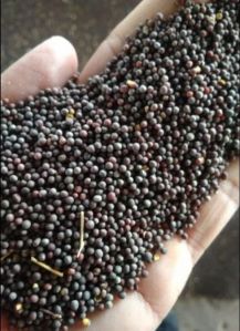 Black Mustard Seeds