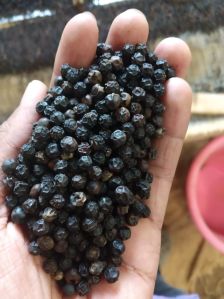 Black Pepper Seed