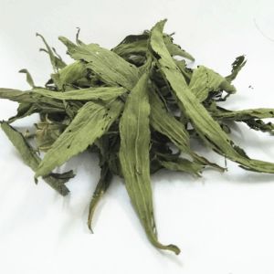 stevia leaf