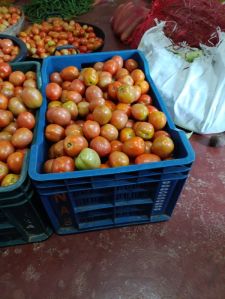 Ripe Tomatoes