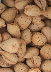 Organic Kashmiri Almonds