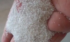 Quartzite Grains