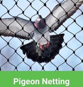 Pigeon net